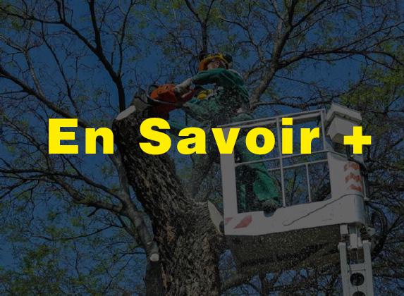 ELAGAGE ET ABATTAGE 28