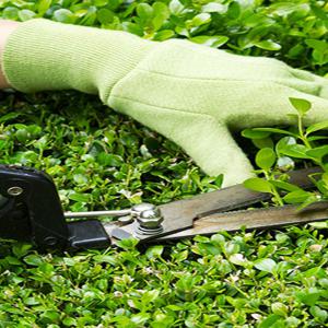 Entretien espace vert Parc & Jardin 28