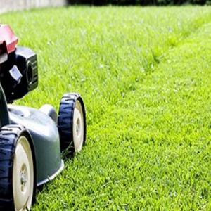 Entretien espace vert Parc & Jardin 28