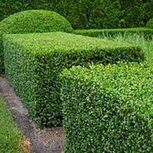 Entretien espace vert Parc & Jardin 28