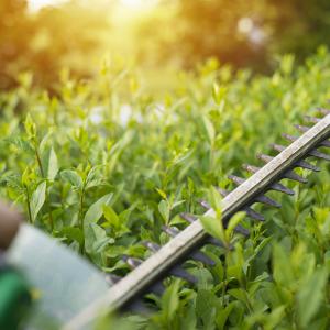 Entretien espace vert Parc & Jardin 28